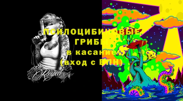 эйфоретик Бежецк