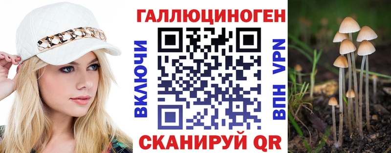 mega ссылки  Клин  Псилоцибиновые грибы Psilocybe 
