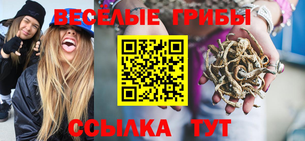 Галлюциногенные грибы Psilocybe  Вход с VPN  Клин 
