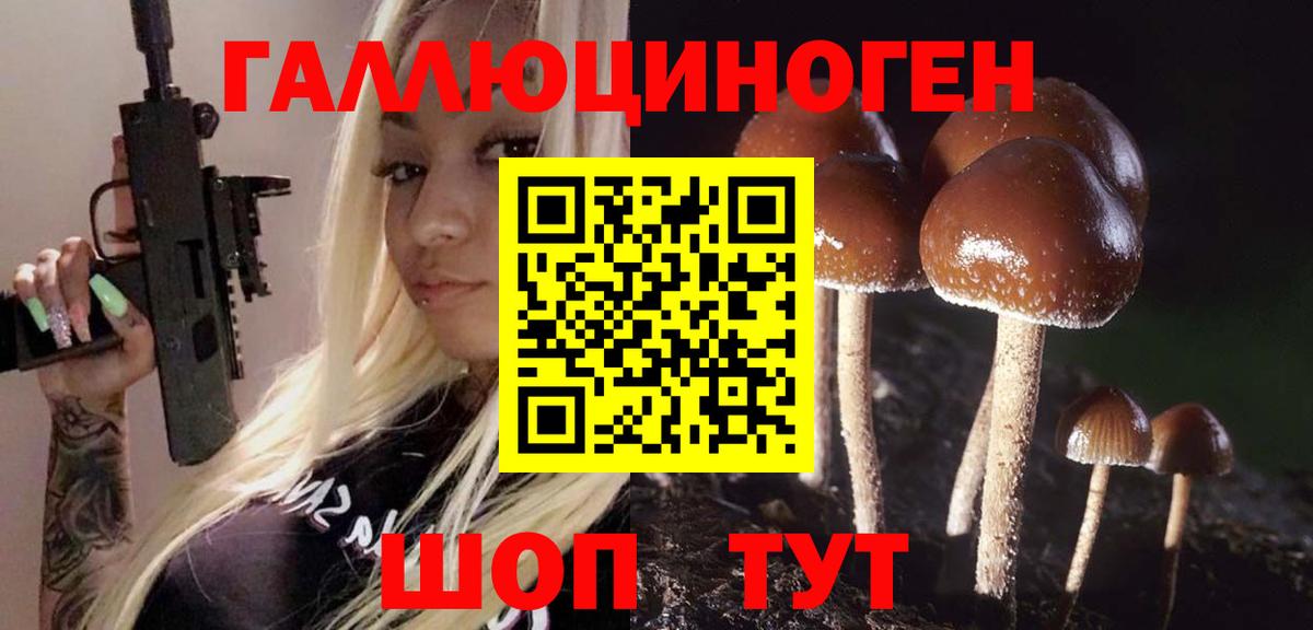 купить наркотики сайты  Клин  Галлюциногенные грибы MAGIC MUSHROOMS 